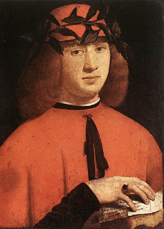 BOLTRAFFIO, Giovanni Antonio Portrait of Gerolamo Casio France oil painting art
